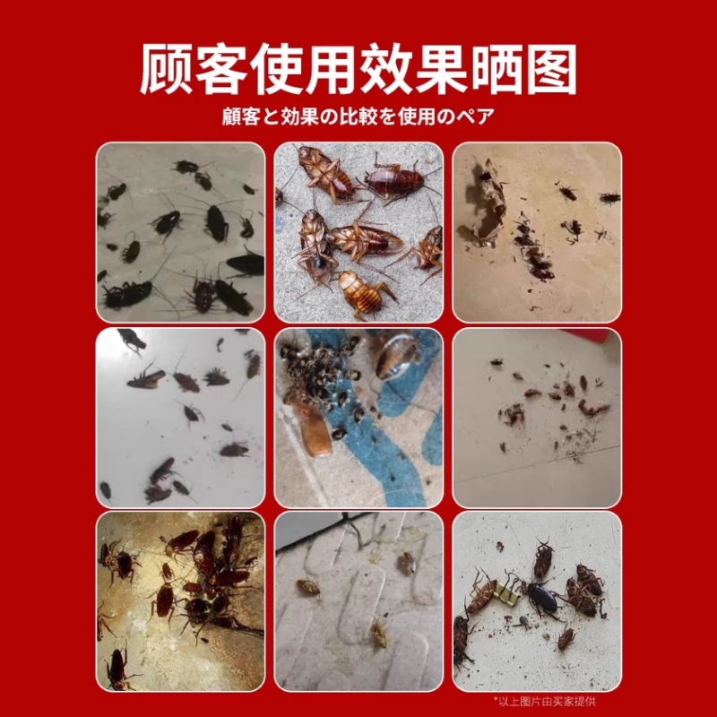 杀蟑胶饵蟑螂药全窝端家用非无毒正品除灭防宿舍一锅端神器诱饵剂 - 图1