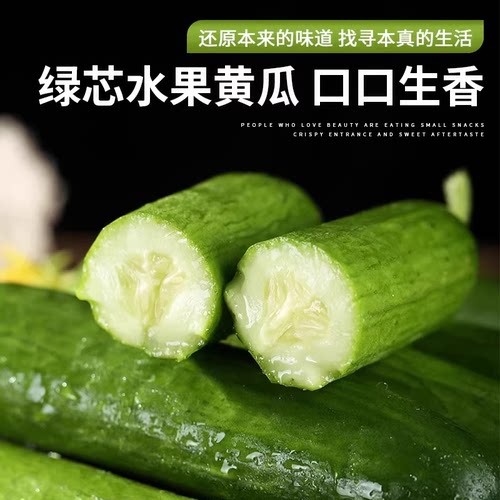 芭芭农场兑换水果黄瓜2斤装新鲜自提现摘凉拌 - 图0