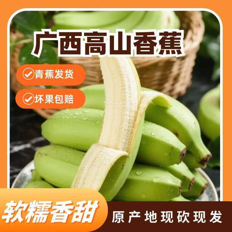 桂青禾广西威尼斯香蕉5斤