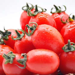 广西千禧果圣女果新鲜小番茄5斤