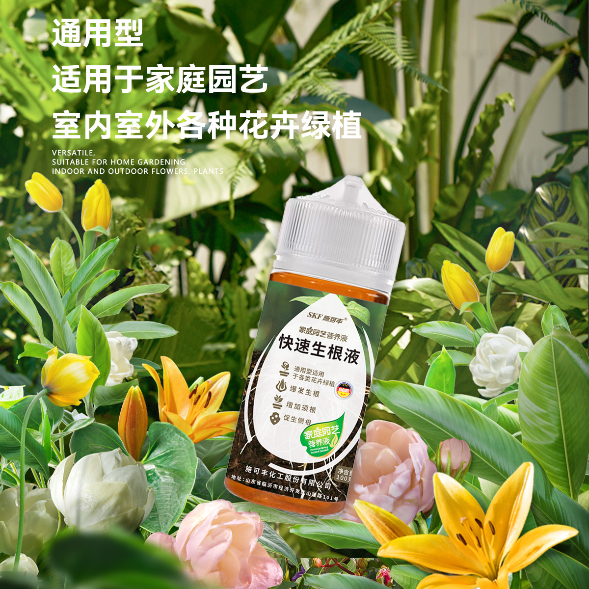 生根液粉剂强力生根粉植物通用型促生根肥各种花园艺开花浓缩室内 - 图0