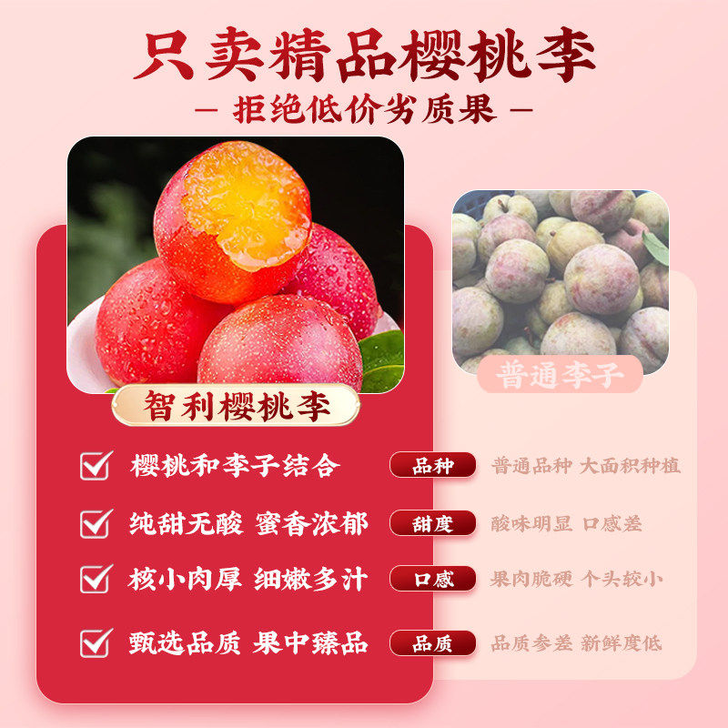 顺丰智利樱桃李原箱当季新鲜水果进口原箱爆甜李子礼盒装整箱包邮,淘宝优惠券,粉丝福利购,淘宝优惠卷