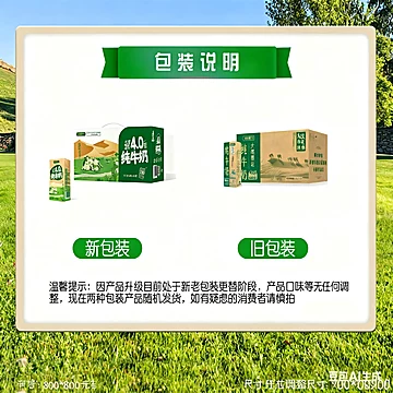 下拉19.7！宁夏4.0g高蛋白纯牛奶200ml*10盒[10元优惠券]-寻折猪