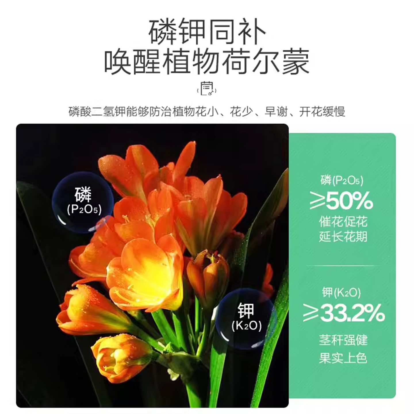 磷酸二氢钾花肥料家用钾养花种花复合肥绿植用花卉盆栽植物通用型,淘宝优惠券,粉丝福利购,淘宝优惠卷