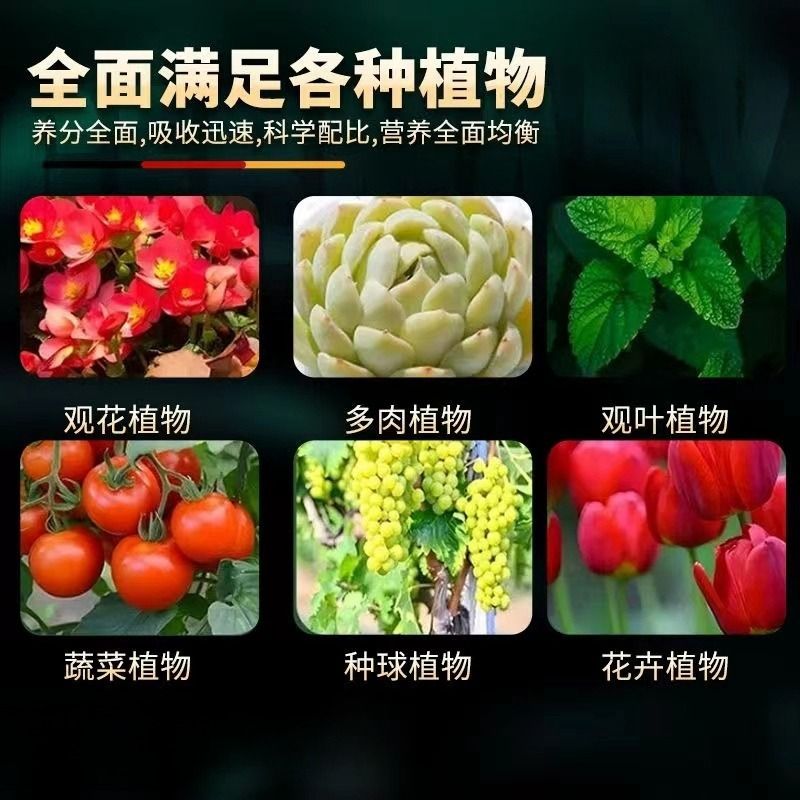 【英国专研】园艺防虫片防小黑虫飞蚜虫白粉虱菜蛾飞虫花卉驱虫片 - 图1