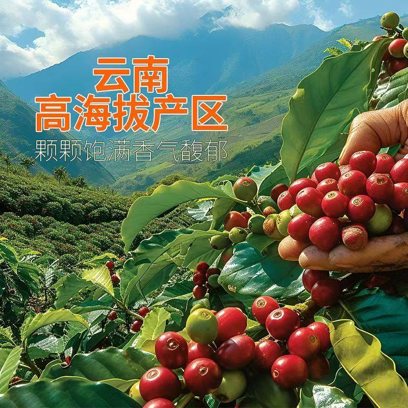 意式浓缩咖啡液0糖0脂15倍浓缩高保香技术铂金奖品牌咖啡,淘宝优惠券,粉丝福利购,淘宝优惠卷