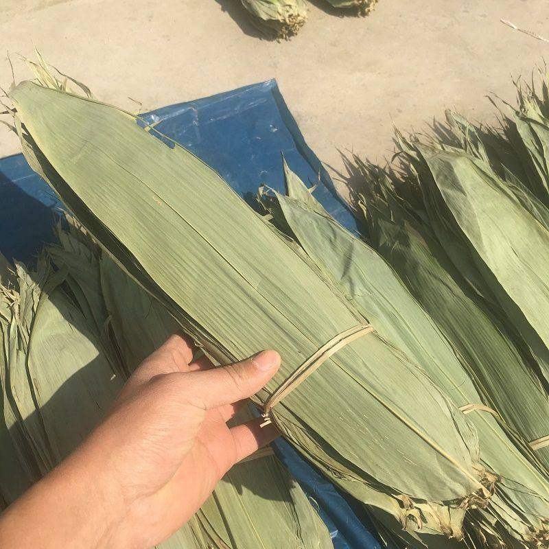 粽子叶粽叶干大号棕叶新鲜包粽子的竹叶子干粽叶商用箬叶材料批发,淘宝优惠券,粉丝福利购,淘宝优惠卷