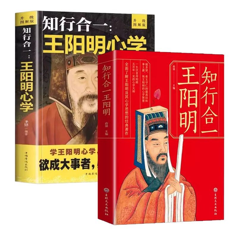 全套3册 王阳明心学全集正版原著+传习录+知行合一 王明阳的智慧 国学经典原文详注集评逐条精讲王阳明传大全集 做个心中有光的人 - 图3