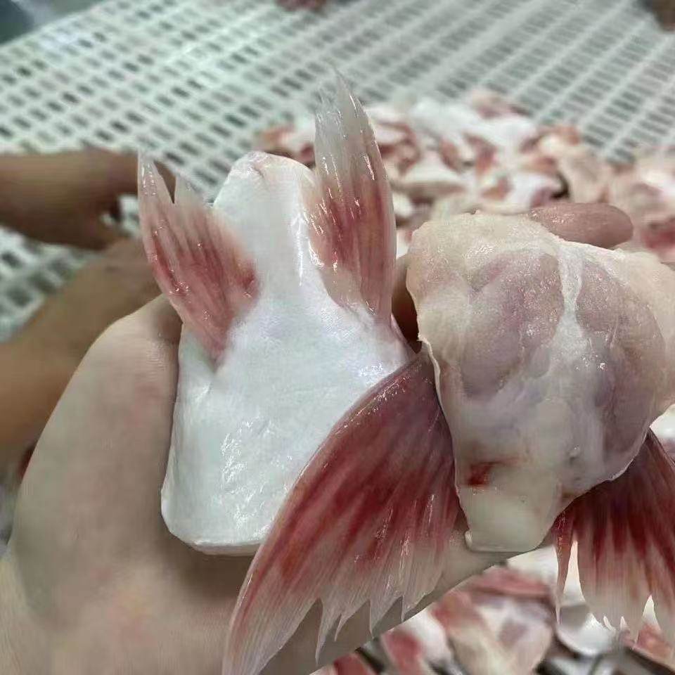 新鲜巴沙鱼鳍冷冻鱼翅鱼鳍回鱼下巴巴沙鱼翅鱼下巴家庭装鱼翅冷冻,淘宝优惠券,粉丝福利购,淘宝优惠卷