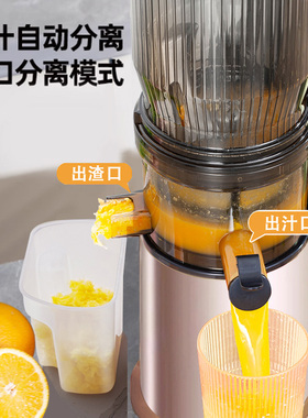 超大口径榨汁机渣汁分离果汁机