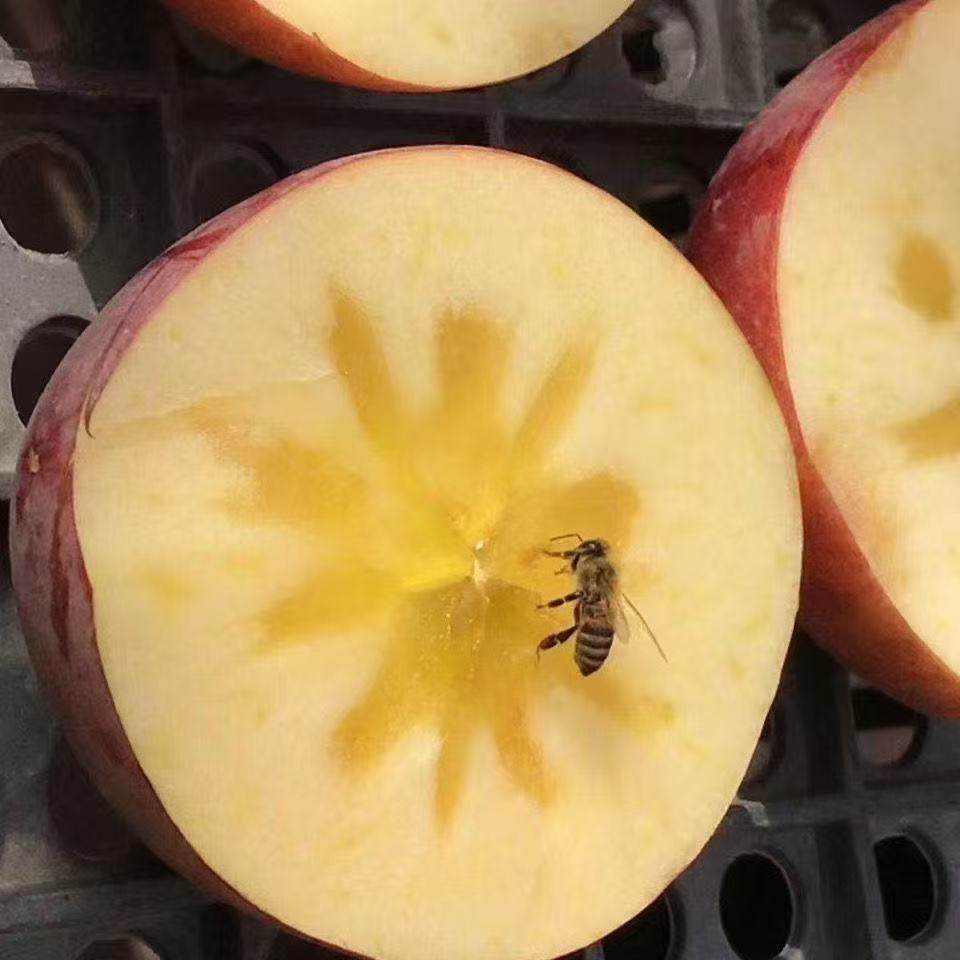 头茬现摘正宗山西红富士苹果冰糖心丑苹果当季新鲜水果批发价多汁,淘宝优惠券,粉丝福利购,淘宝优惠卷