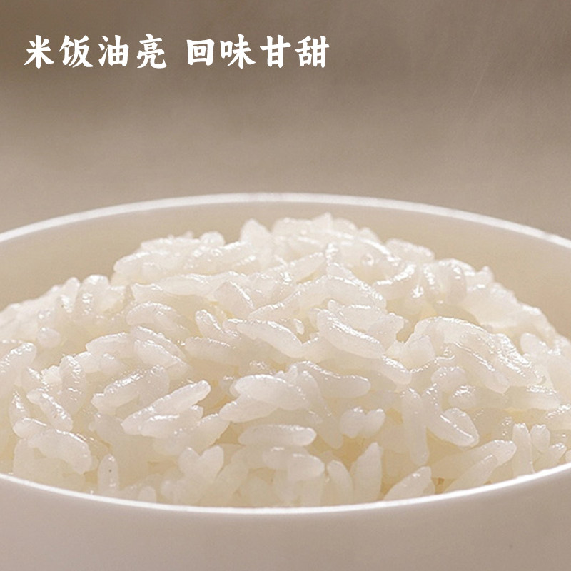 25年五米常香五常大米2.5kg5斤真空包装