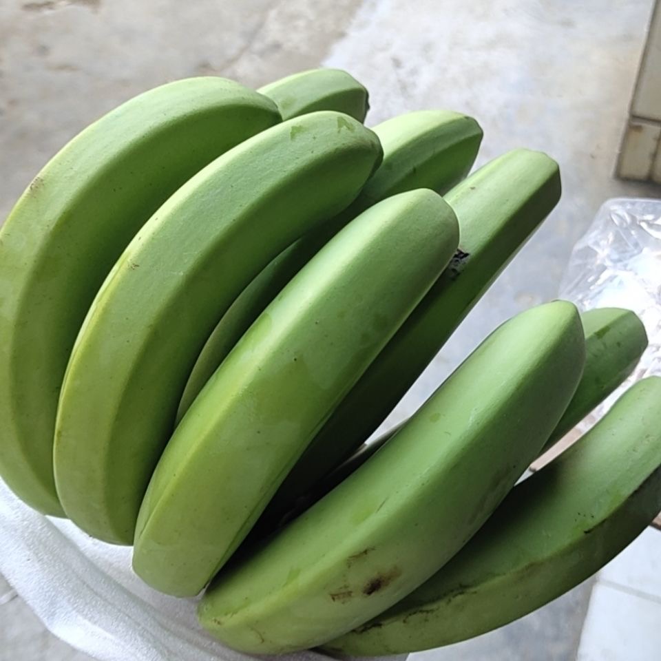 云南新鲜高山青香蕉现摘现发大香蕉水果自然熟banana芭蕉可食用 - 图2