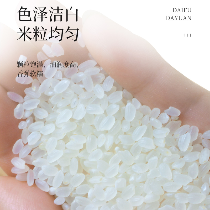 黑龙江东北五常大米2025新米上市2.5kg袋装软糯好吃直供大院真空