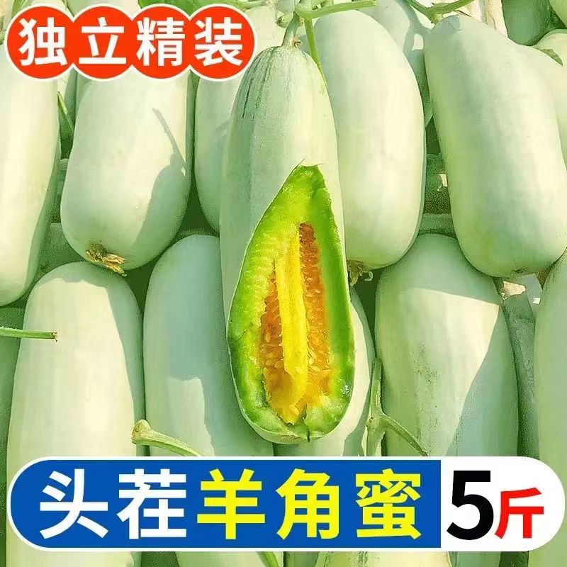 【超低价】山东羊角蜜甜瓜新鲜水果5斤当季脆甜蜜瓜香瓜时令整箱 - 图0