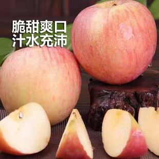 红富士糖心苹果4.5斤，单果70mm-75mm