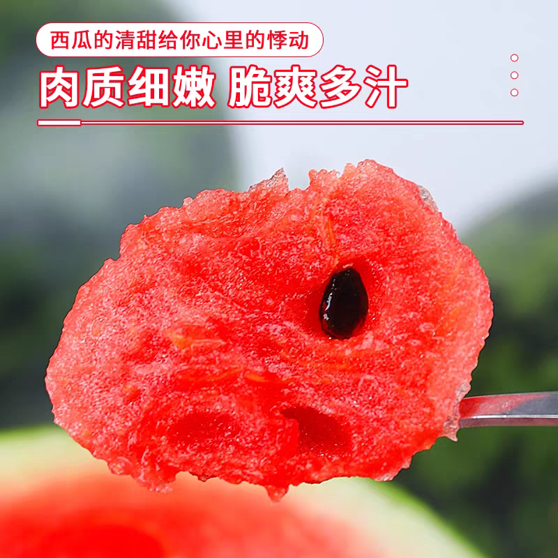 越南进口黑美人西瓜当季新鲜现摘西瓜应季水果脆甜饱满黑皮西瓜,淘宝优惠券,粉丝福利购,淘宝优惠卷