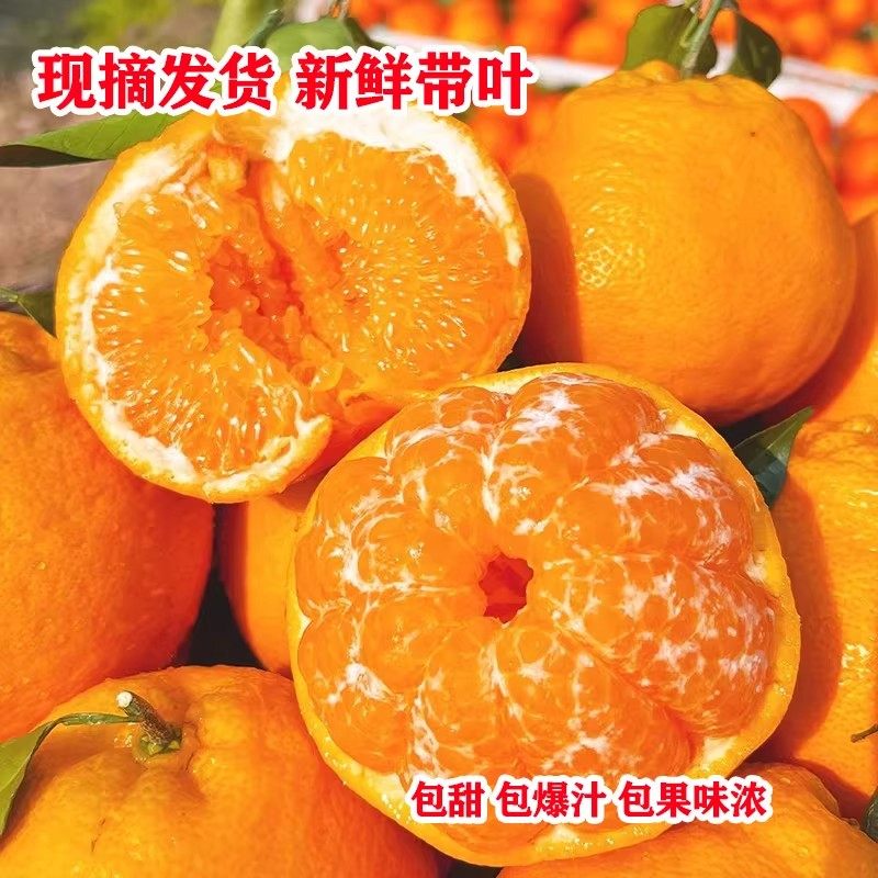 四川春见耙耙柑粑粑柑10斤新鲜水果橘子当季整箱杷杷柑特大果无籽,淘宝优惠券,粉丝福利购,淘宝优惠卷