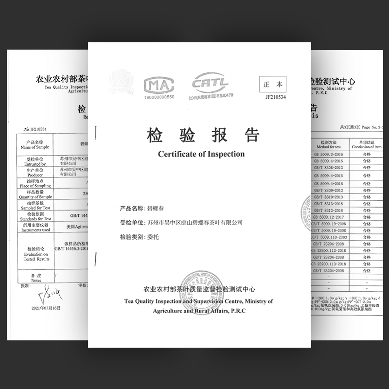 碧螺春茶叶2024新茶绿茶高山毛尖春茶嫩芽自己喝散茶一级送礼罐装