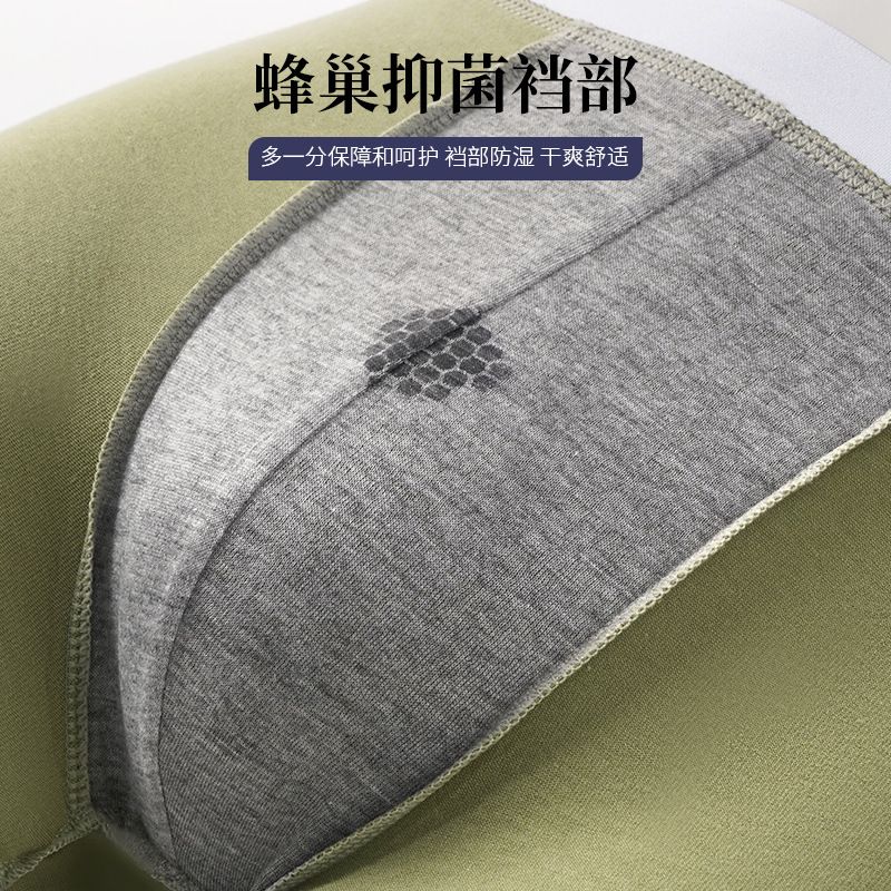 猫人男士纯棉内裤无感亲肤透气细腻触感云柔棉感蜂巢抑菌內裆