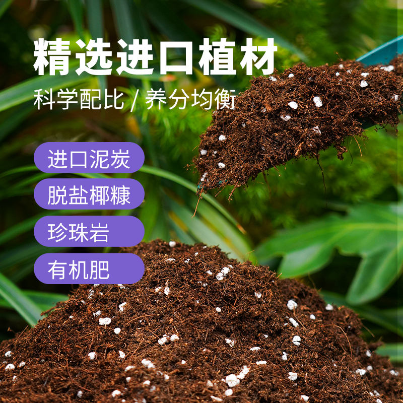 营养土养花专用通用型种菜泥土种花土壤种植土花土多肉土家用疏松