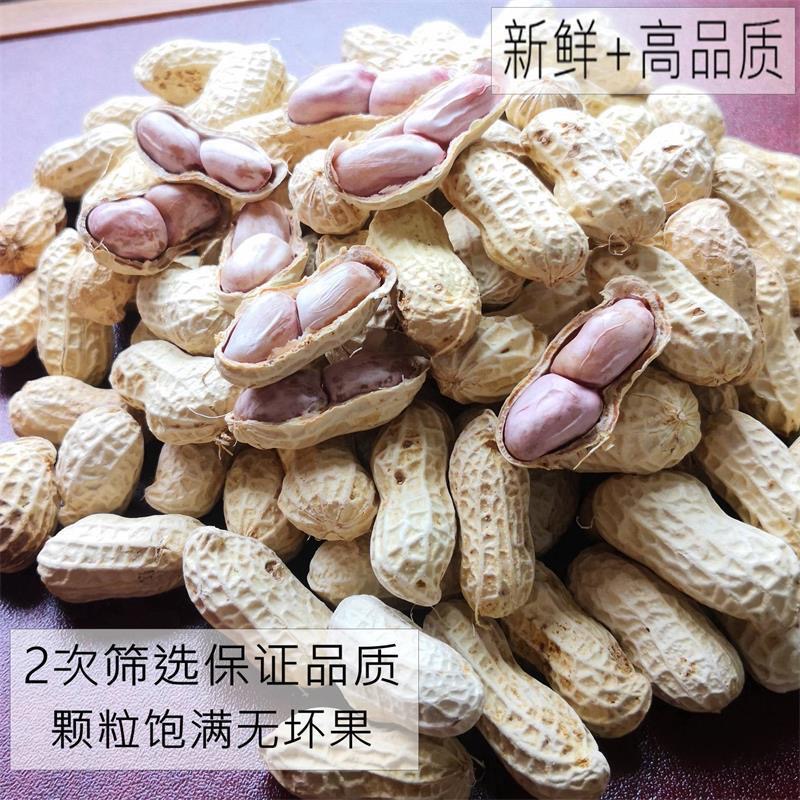 2025新货咸干花生500g带壳花生炒货大包装休闲零食坚果零食下酒菜