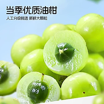 英贝健西梅汁益生元350ml*5瓶[3元优惠券]-寻折猪