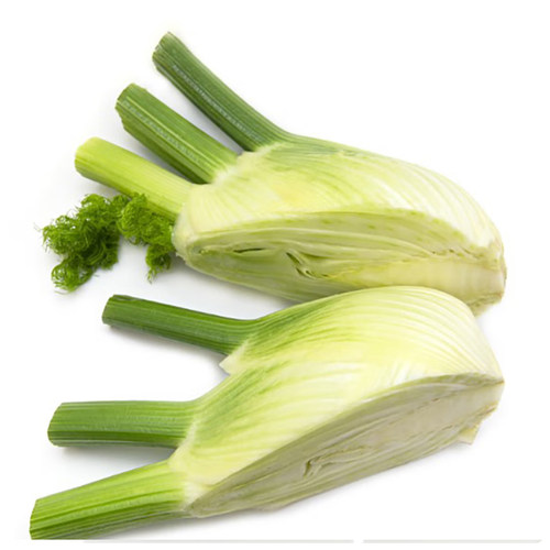 鲜球茎大茴香茴香头1-5斤 新鲜茴香根茴香球茎 西餐料理香料食材 - 图2