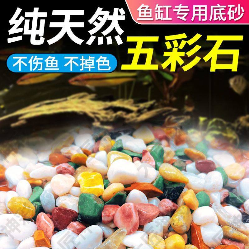 天然雨花石五彩石鱼缸造景底部砂石盆栽多肉铺面石鹅卵石装饰摆件,淘宝优惠券,粉丝福利购,淘宝优惠卷