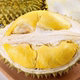Thai Golden Pillow Durian with shell freshly picked durian pulp is soft and waxy and ripe on the old tree. The durian flesh is straight.