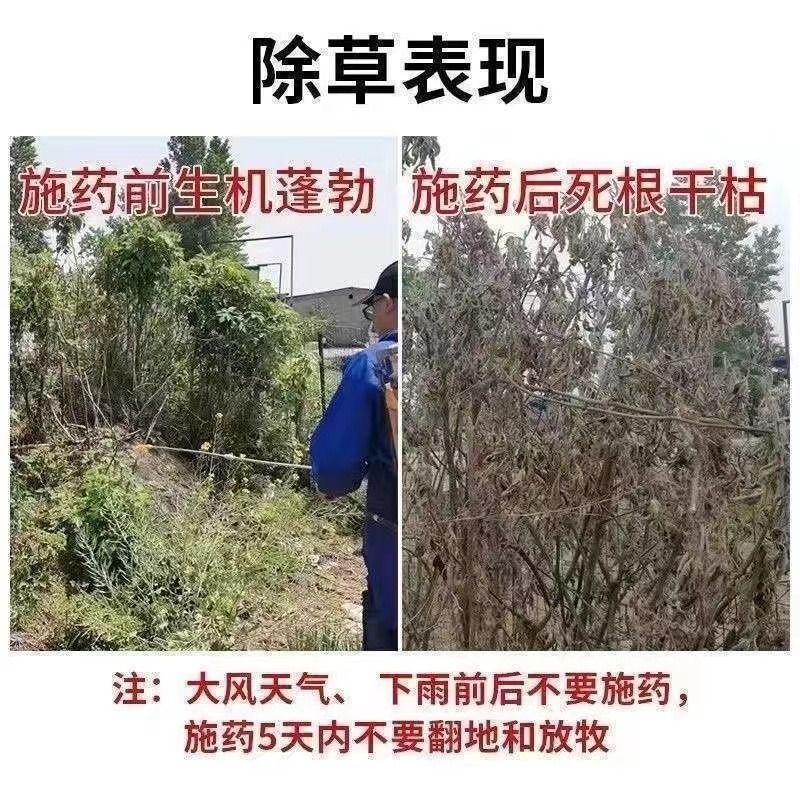 强力杀大树竹子除草剂烂根死杂草除根恶性滴酸草甘磷农用批发杀树 - 图1