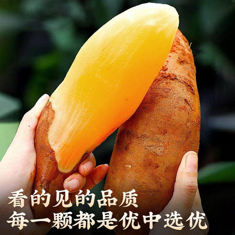 云南天山雪莲果10斤新鲜水果当季现挖脆甜红心雪连果时令大果整箱,淘宝优惠券,粉丝福利购,淘宝优惠卷