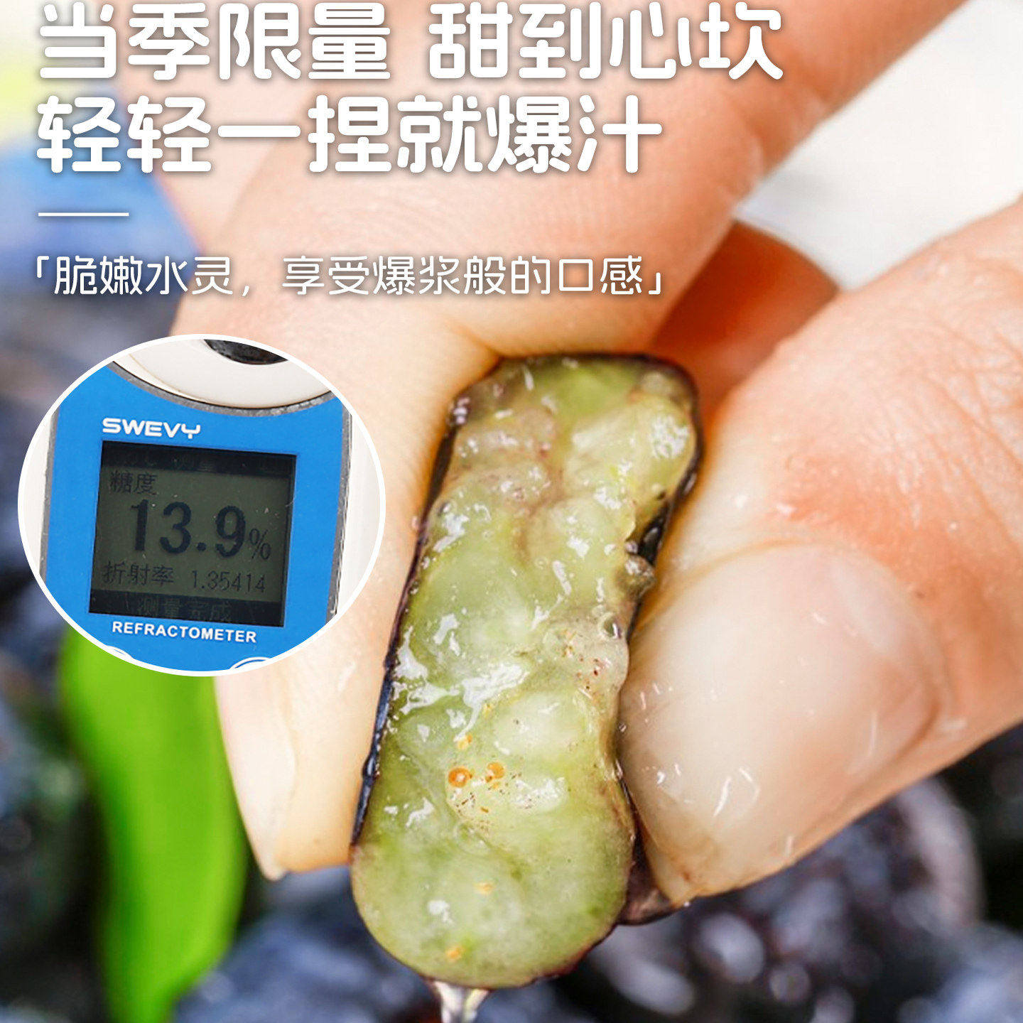 蓝莓新鲜水果孕妇水果超大果云南L25脆甜花香蓝莓顺丰包邮