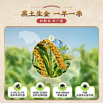 【量贩装5斤】东北黄小米[3元优惠券]-寻折猪