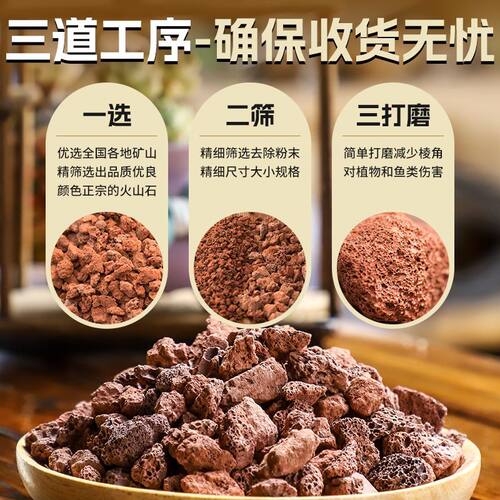 火山石颗粒多肉兰花专用颗粒土铺面石鱼缸底砂滤材火山岩花盆土壤 - 图2