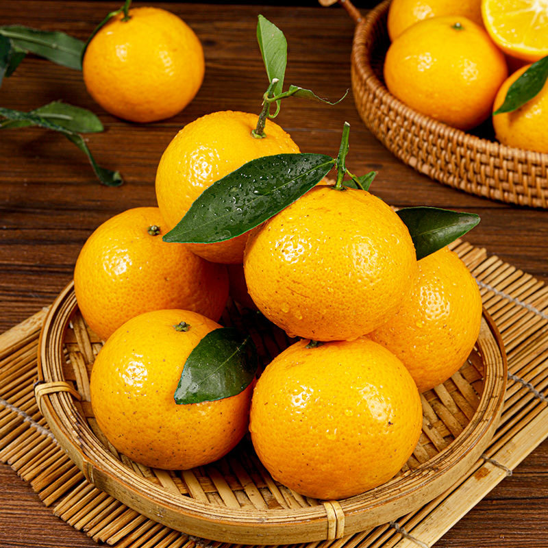 广西皇帝柑新鲜桔子9斤武鸣当季现摘甜橘子孕妇水果整箱正宗包邮5,淘宝优惠券,粉丝福利购,淘宝优惠卷