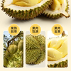 Thailand A-grade golden pillow boxed tree-ripened frozen durian imported fruit shellless fresh sweet soft glutinous pulp liquid nitrogen fresh fruit