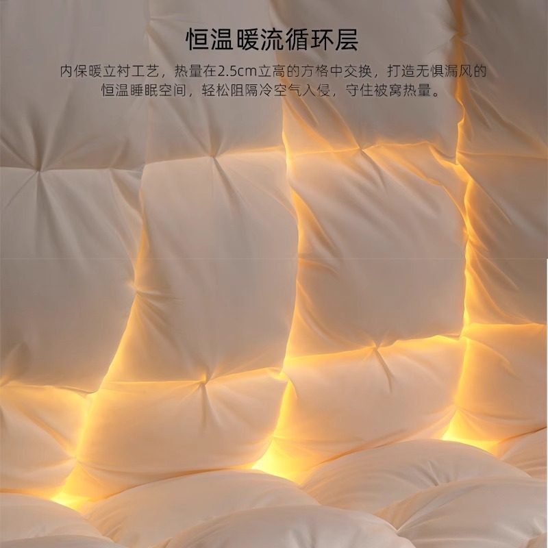 正品鹅绒被冬被羽绒保暖被95白鹅绒加厚全棉春秋被芯酒店被子被套,淘宝优惠券,粉丝福利购,淘宝优惠卷