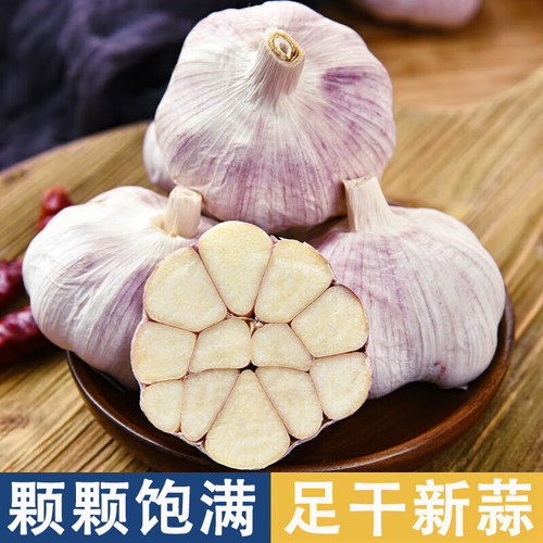 今年新干蒜5斤大蒜头农家大蒜当季新鲜蔬菜包邮自提紫皮回购净重 - 图2