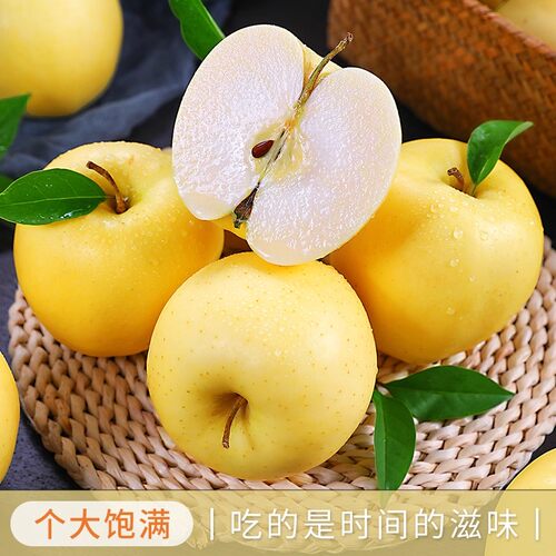 辽宁富硒黄元帅苹果黄蕉青苹果新鲜水果甜脆黄苹果老幼皆宜 - 图0