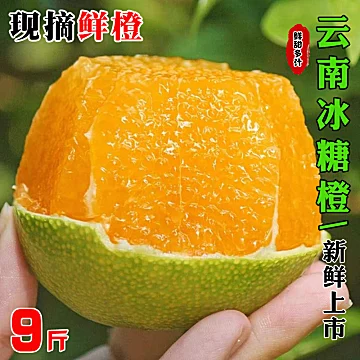 补贴到手12.9！云南冰糖橙[5元优惠券]-寻折猪