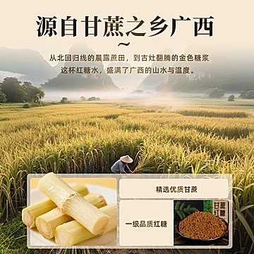 下拉10.6元！章吴记广西甘蔗红糖360g*2袋[1元优惠券]-寻折猪