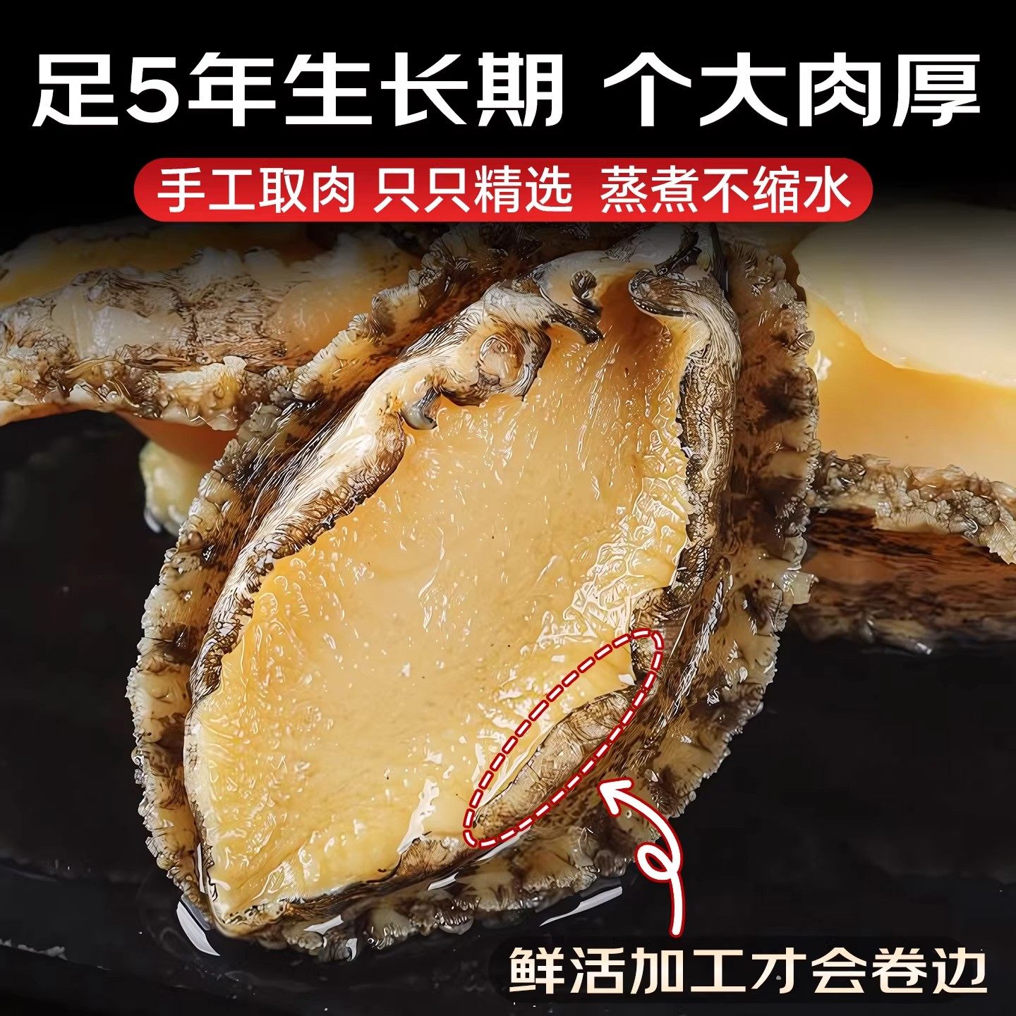 鲍鱼肉鲜活冷冻新鲜特大去壳小鲍鱼捞饭海鲜水产鱼商用,淘宝优惠券,粉丝福利购,淘宝优惠卷