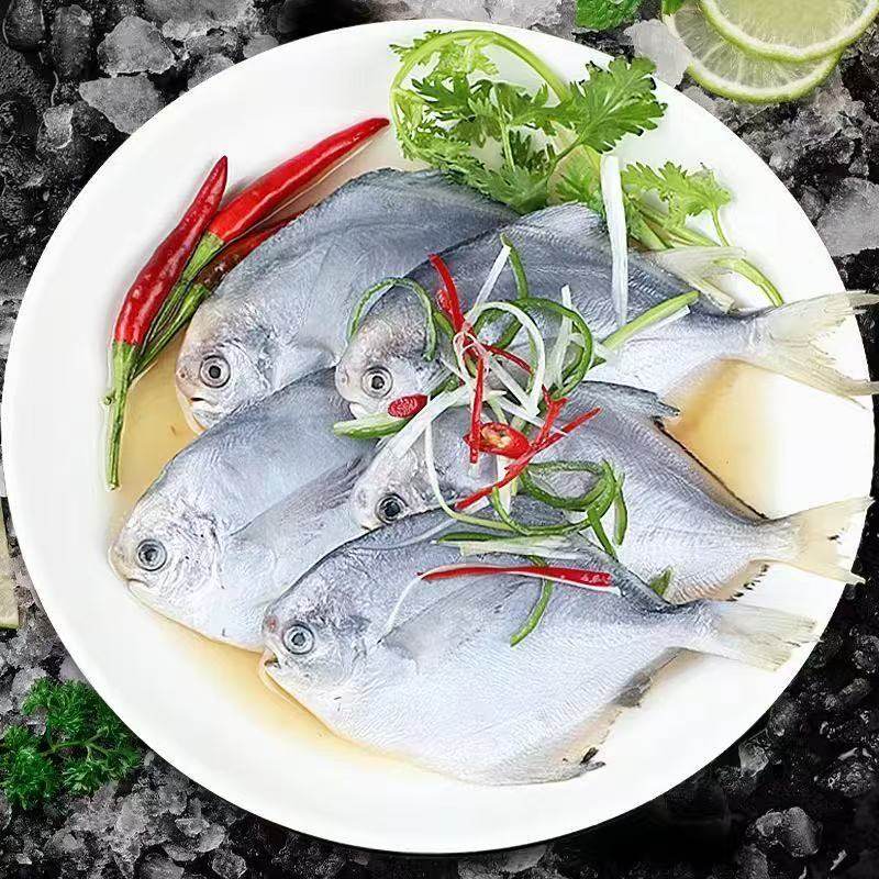 野生银鲳鱼鲳鱼新鲜海捕大鲳鱼冷冻海产海鲜批发生鲜深海年货节,淘宝优惠券,粉丝福利购,淘宝优惠卷