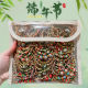 Dragon Boat Festival National Style Intangible Cultural Heritage Red Rope Handmade Children's Baby Zongzi Pendant Bracelet Couple Colorful Rope Good Luck Accessories