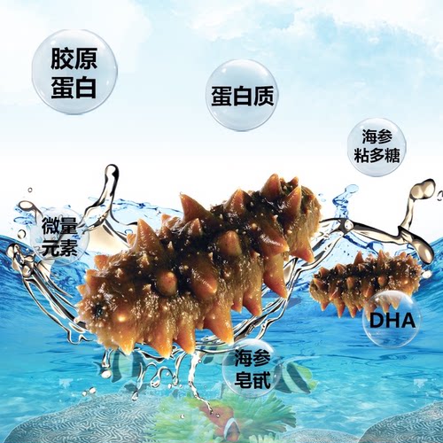 海参即食包装袋一斤正品官方旗舰店大连顺丰独立辽刺参冷冻水产 - 图1