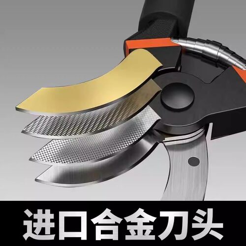 德国精工艺园剪刀剪树枝专用剪刀修枝剪果树剪花园林园艺弹簧剪子 - 图2