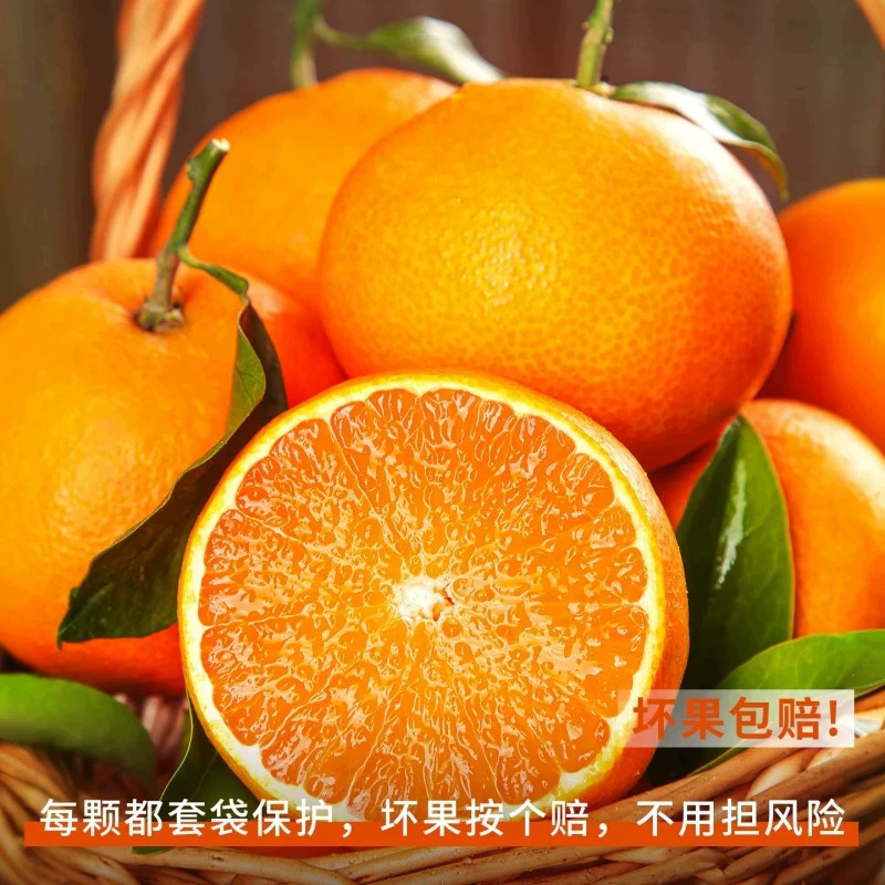 图 5