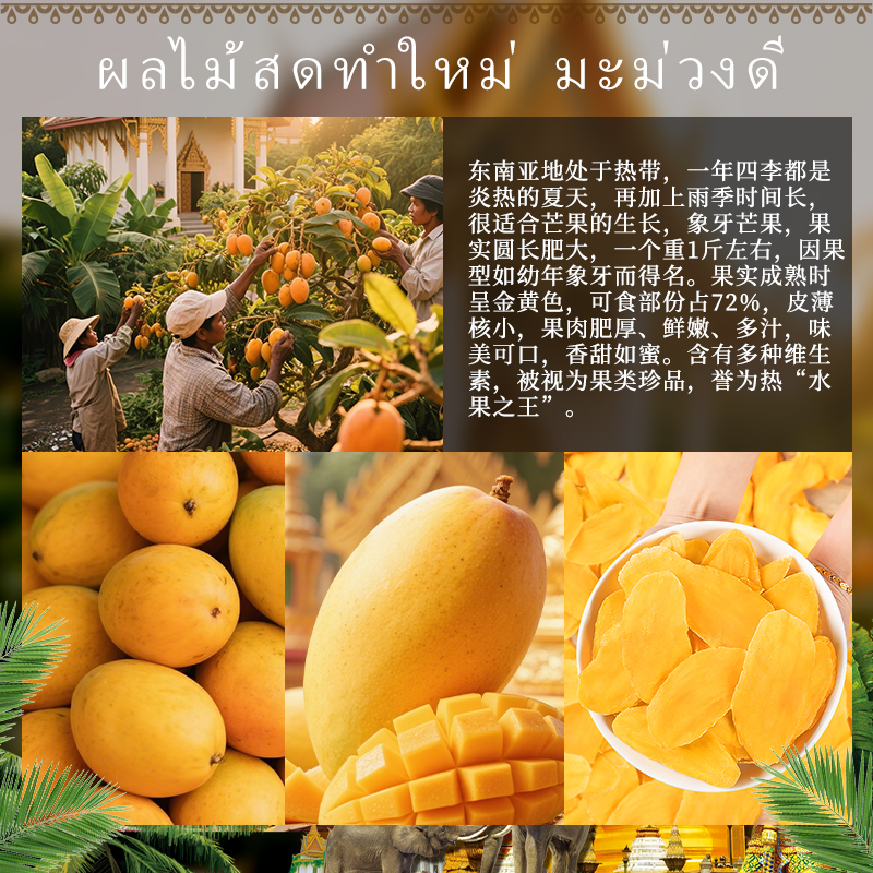 Original 5A Dried Mango 500g No Added Coloring Candied Dried Fruit Preserved Fruit Snacks