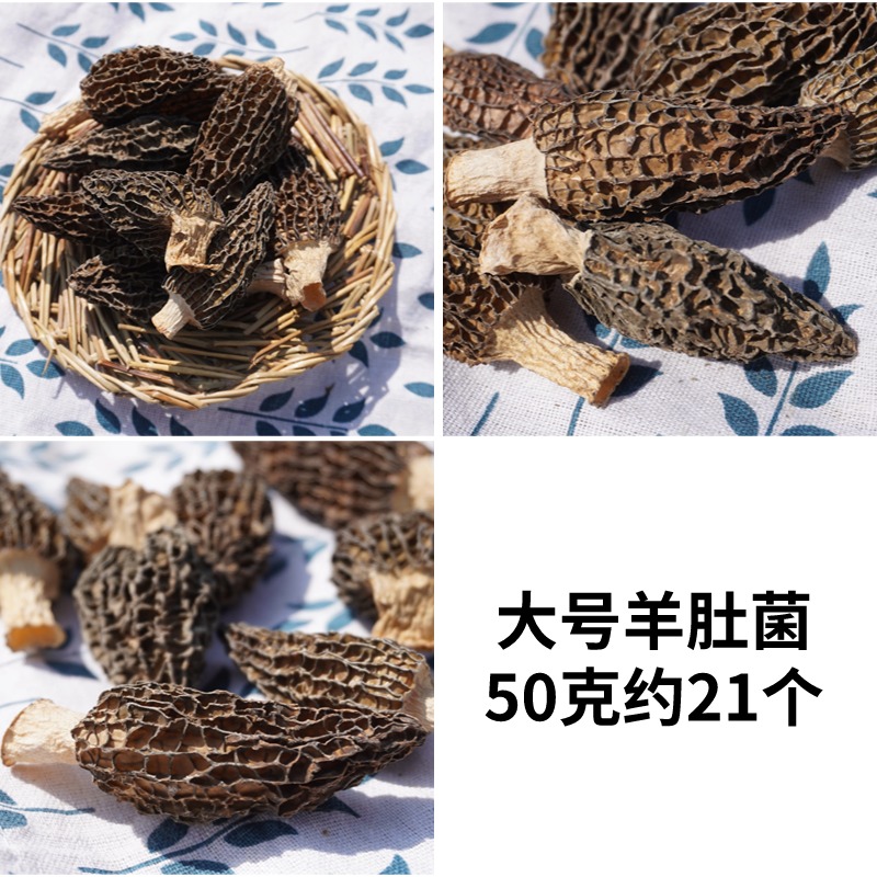 精品羊肚菌干货剪脚短柄头茬云南特产杆菌菇1斤煲汤食材大号-图0